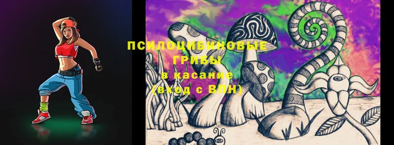 Псилоцибиновые грибы Psilocybine cubensis  Комсомольск 